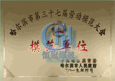 資(zi)質(zhi)榮譽