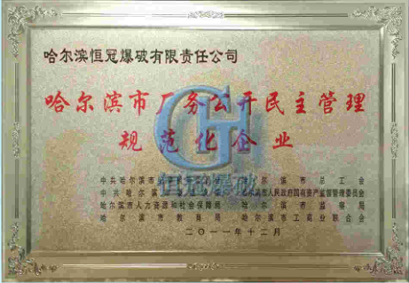 資(zi)質(zhi)榮譽