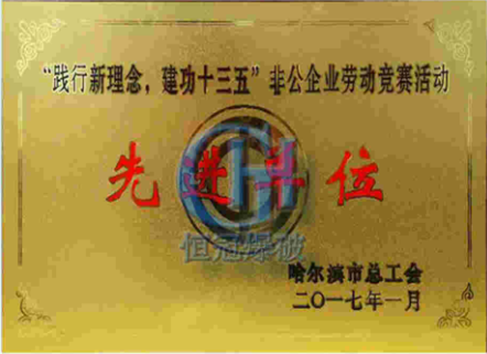 資(zi)質(zhi)榮譽